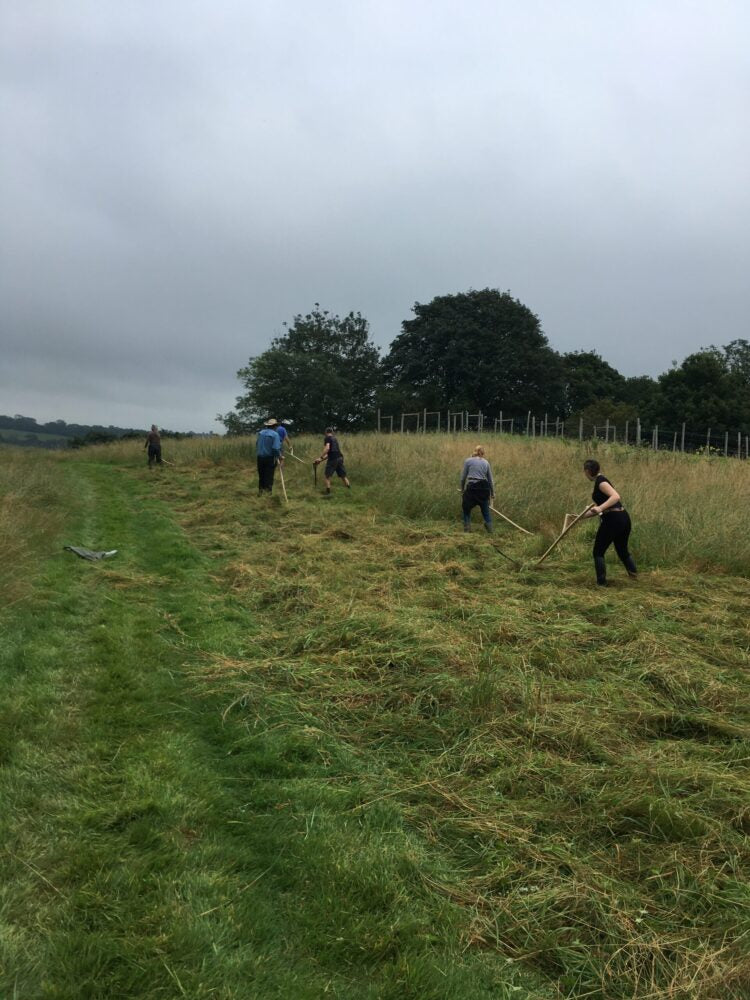 Scything (August 2026)