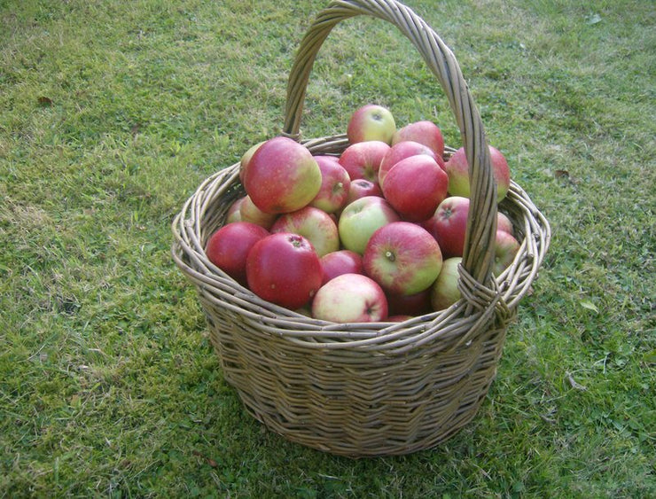 Apple day (October 2026)