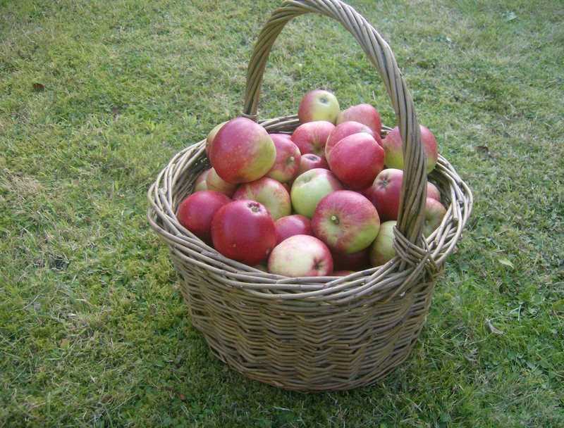 Apple day (October 2026)