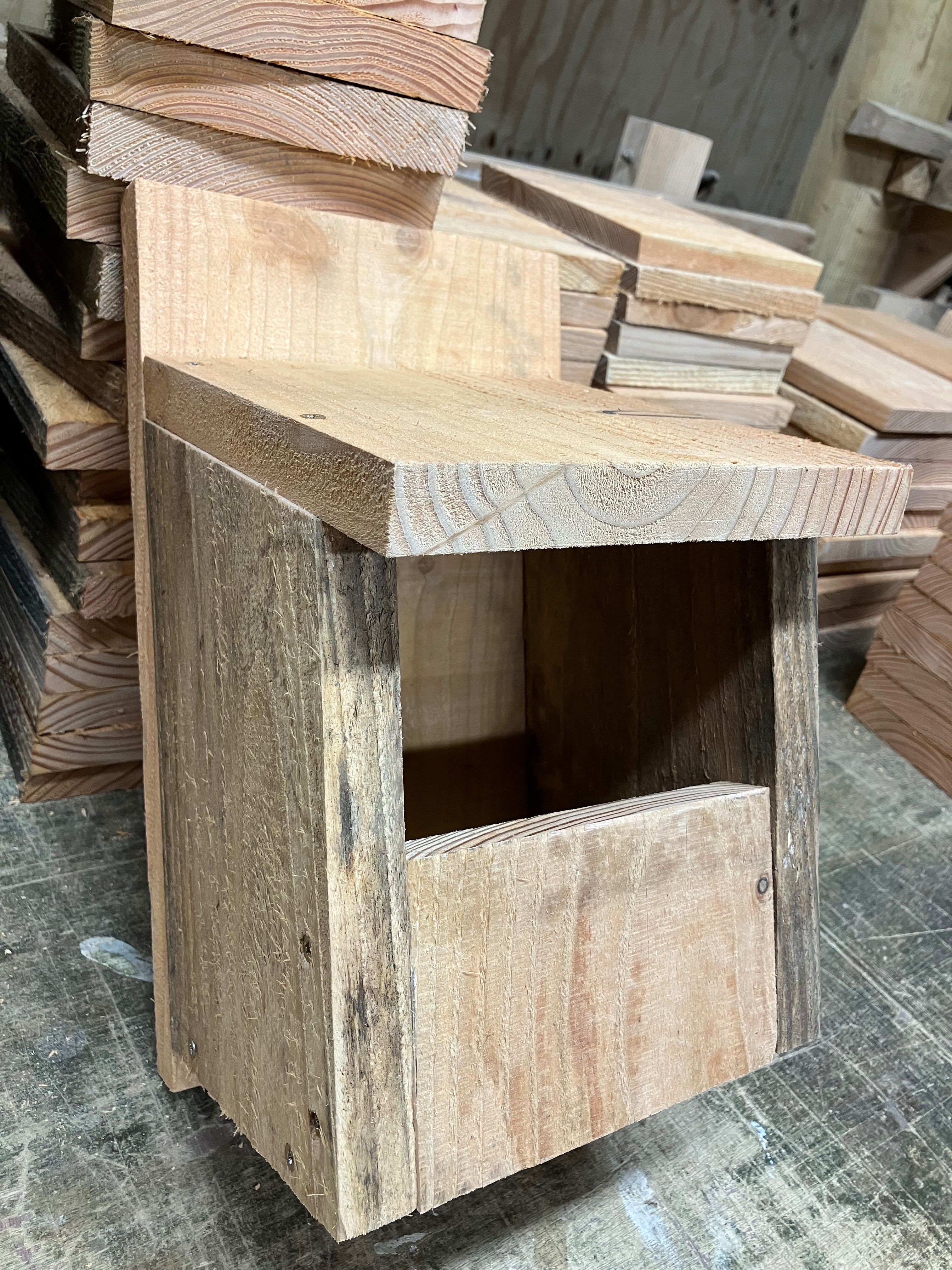 Bird nest boxes (November 2025)