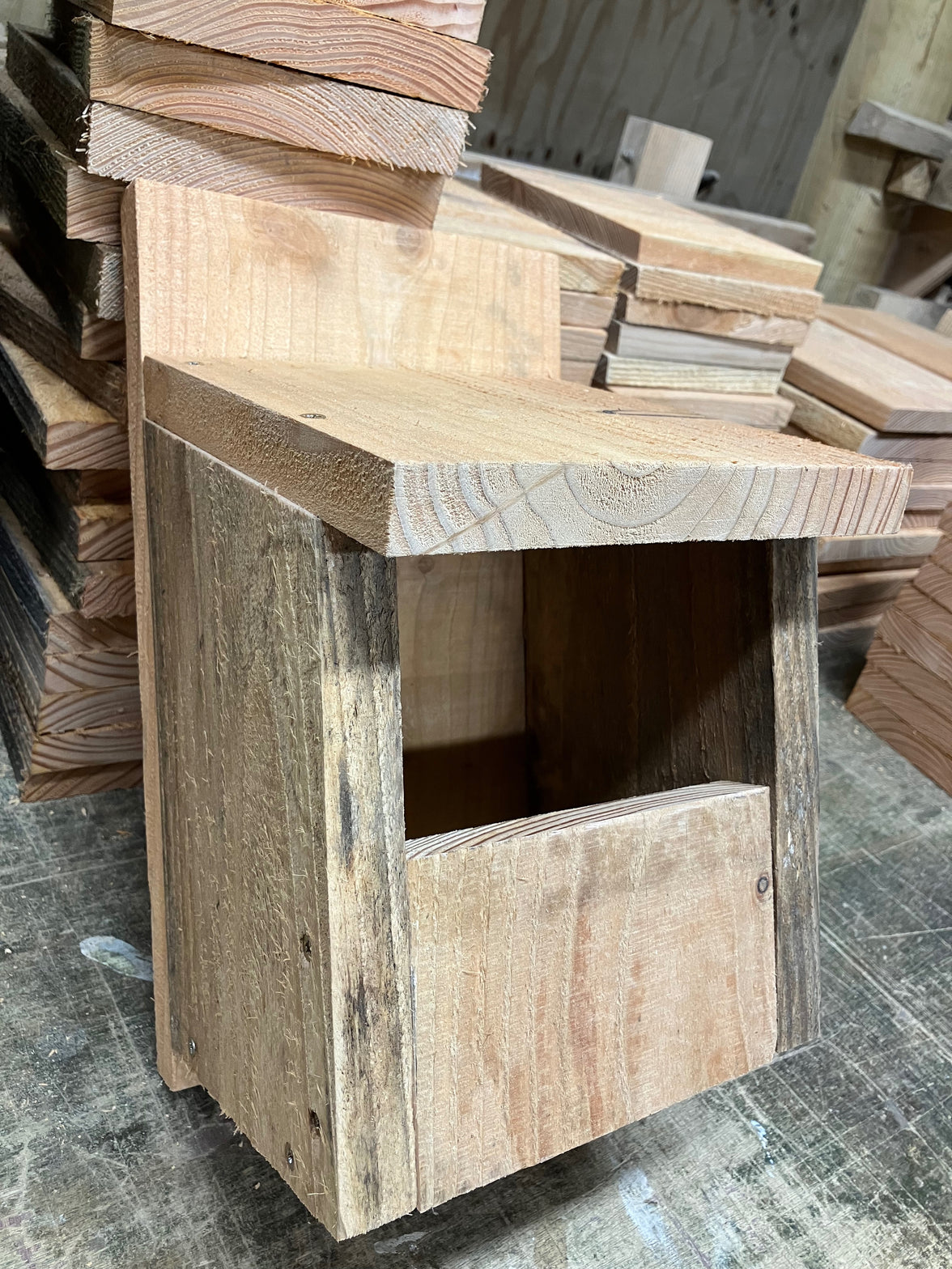 Bird nest boxes (November 2025)