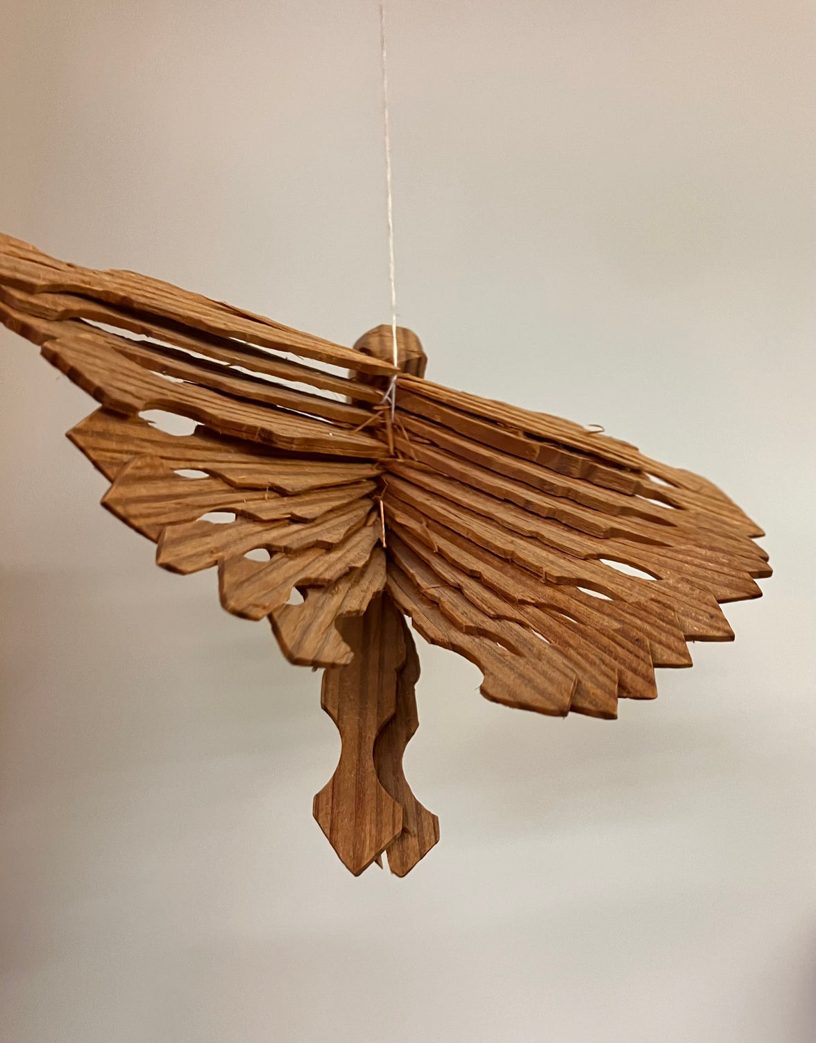 Fan Birds (May 2026)