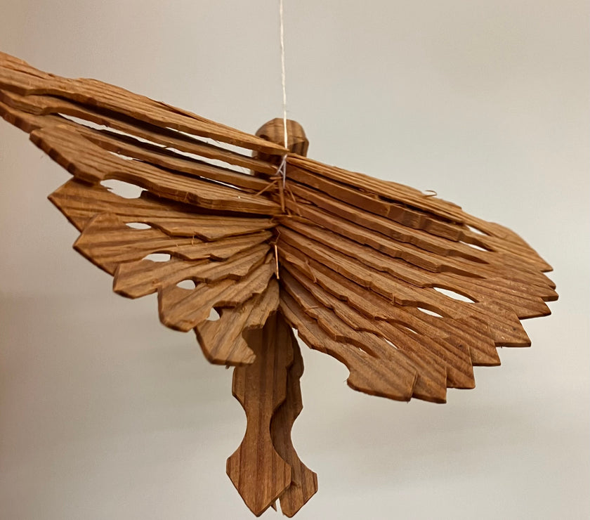 Fan Birds (May 2026)