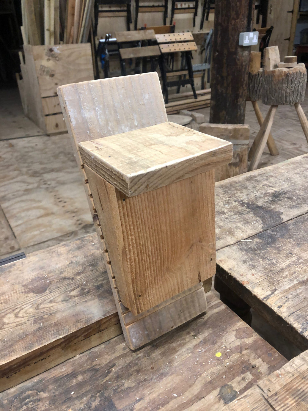 Bat boxes (November 2024)