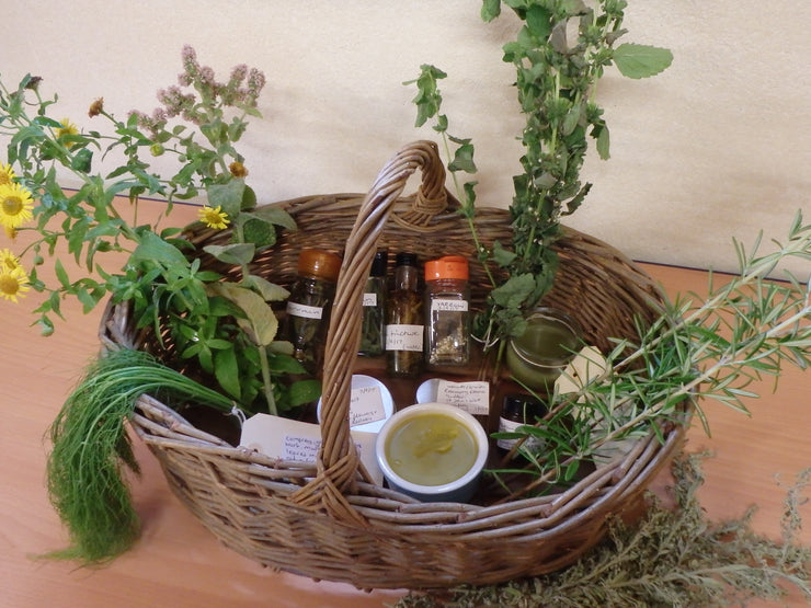 Growing and using medicinal herbs (September 2025)