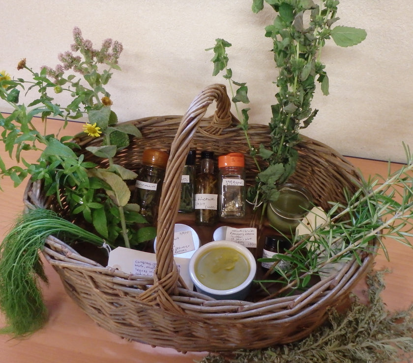 Growing and using medicinal herbs (September 2025)