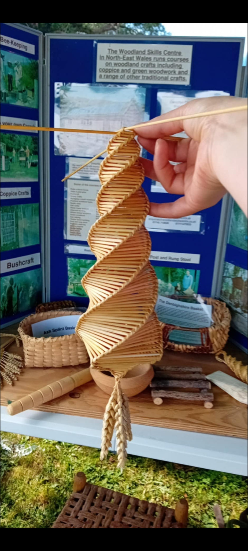 Corn Dollies Improvers (September 2026)