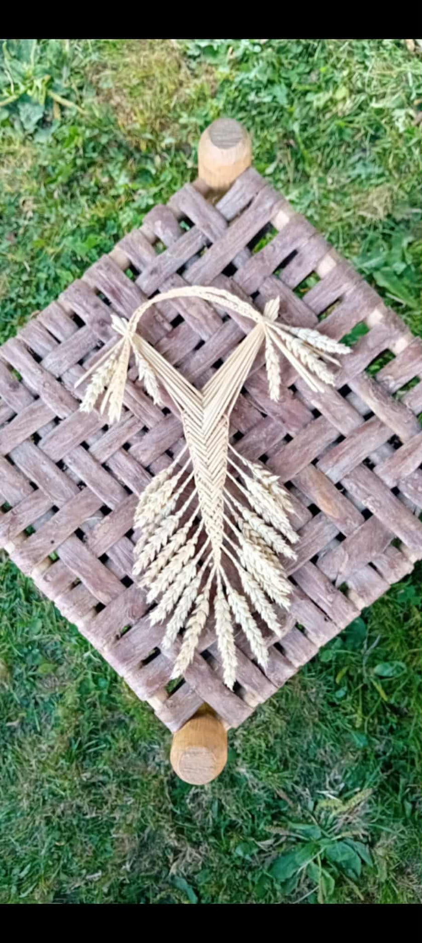 Corn Dollies (May 2026)