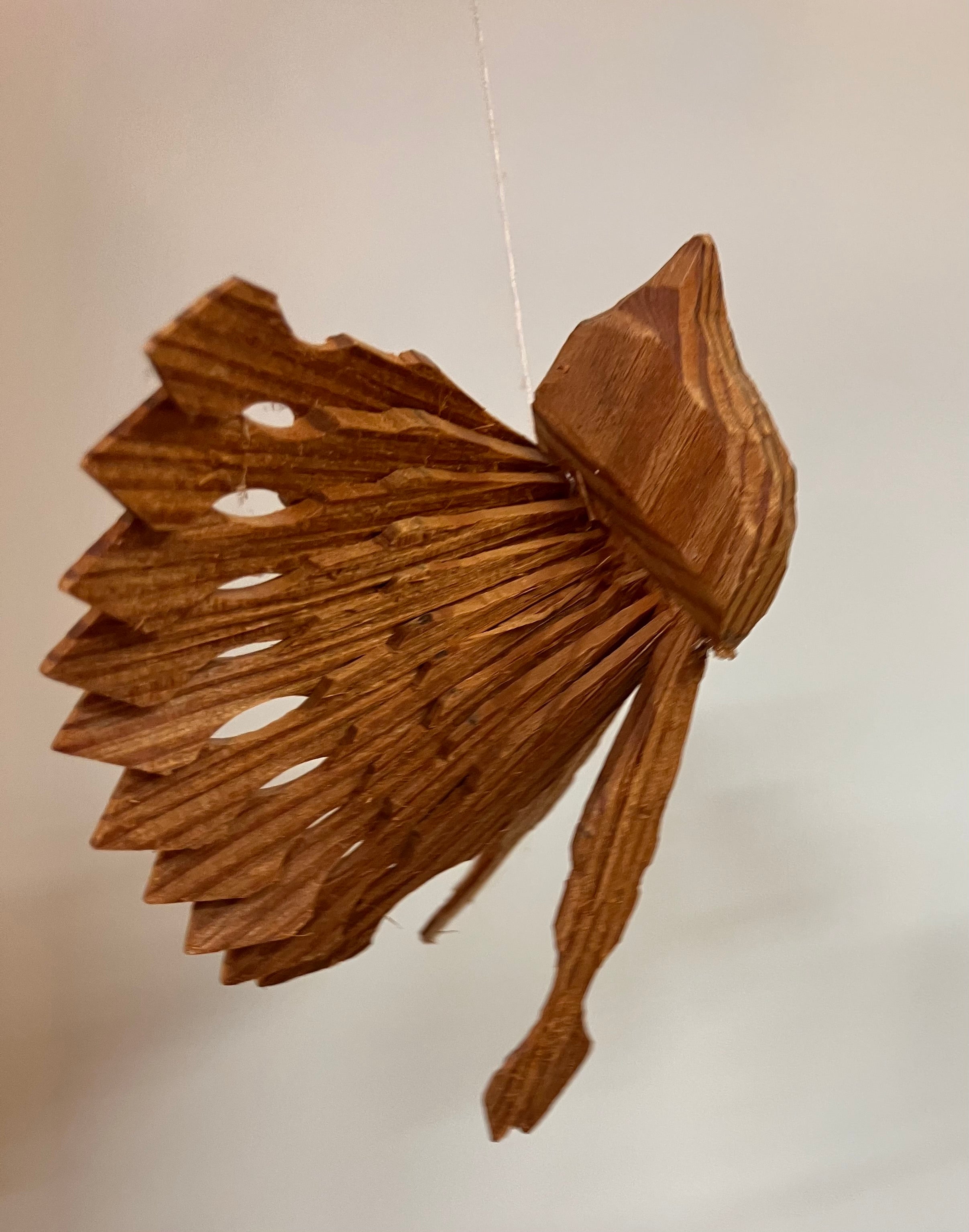 Fan Birds (May 2026)