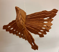 Fan Birds (May 2026)