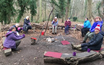 Mindfulness in the Woods