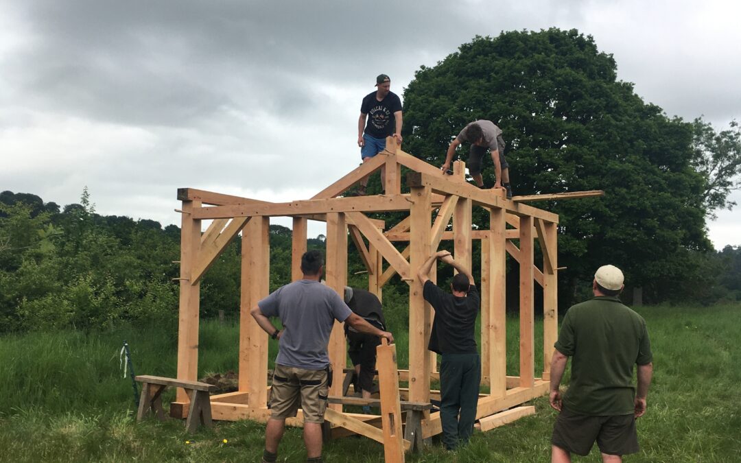 Erecting the timber-frame
